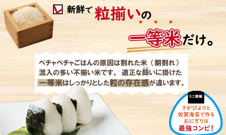 【定期便】(12ヶ月連続お届け)  平石食品直送 お米の定期便 さがびより(5kg X 12回)　毎月発送コース  農家直送
