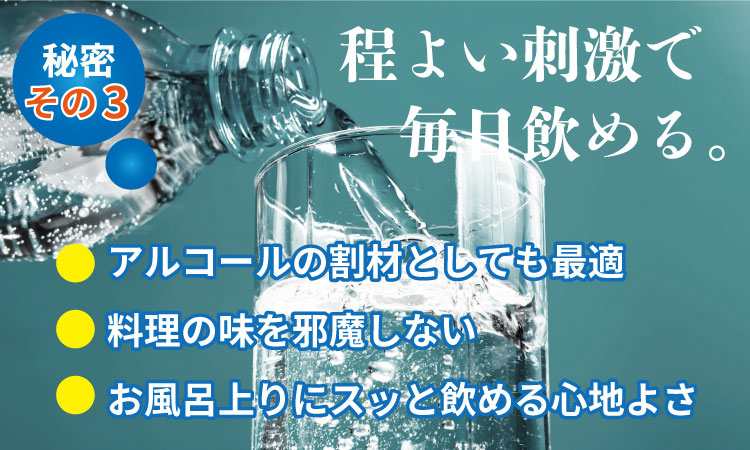 【定期便】 (年6回/隔月お届け) 蛍の郷の天然水（炭酸水500mlｘ24本) x 3ケース 偶数月