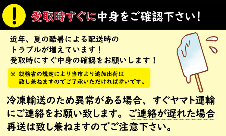 【定期便】 (12ヶ月連続お届け)竹下製菓人気アイス10本
