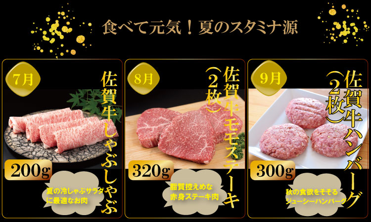 【定期便】 (連続12回) 佐賀牛 やまとフーズ 単身・おひとり様用