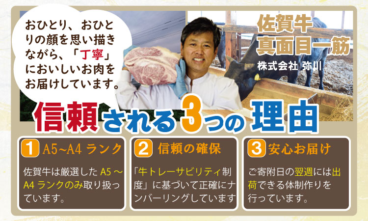 【定期便】 (年6回/隔月お届け) 佐賀牛ヒレステーキ（600g×6回）お肉の定期便・偶数月 フィレ肉
