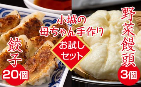 【お試しセット】小城の母ちゃんの手作り餃子、野菜饅頭セット(塩麹餃子20個、野菜まんじゅう3個）特製タレ付き  送料無料 餃子 ギョーザ 饅頭 冷凍食品 佐賀