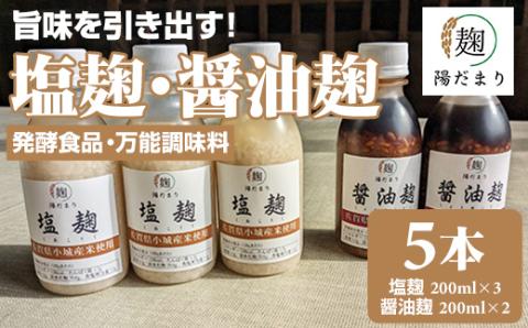 旨味を引き出す塩麹3本・醤油麹2本セット  発酵食品 万能調味料　そよかぜ