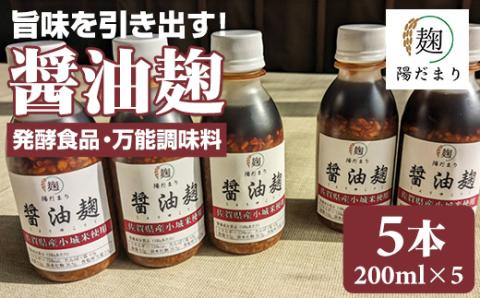 旨味を引き出す醤油麹5本セット 醤油麹 万能調味料 旨味 発酵食品 化学調味料不使用 佐賀県 佐賀県産米　陽だまり そよかぜ