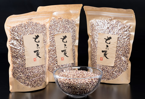 もち麦（600g×3パック）生産農家直送便 送料無料 くすもち二条 健康 米