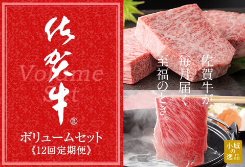 【定期便】 (12ヶ月連続お届け)佐賀牛ボリュームコース