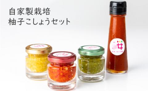 自家製栽培の地元人気の柚子こしょうセット（4種類） オリジナル 調味料 地元で人気 柚子胡椒  ゆず 柚子 こしょう 胡椒 佐賀 送料無料