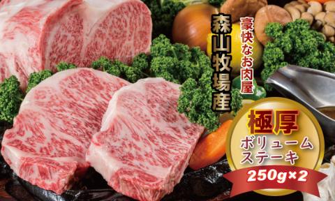 森山牧場産 黒毛和牛ステーキ （250g×2） 佐賀和牛 ステーキ 牛肉 合計500g 黒毛和牛 お肉 厚切り 国産 森山牧場 九州産 送料無料 ブランド牛 ステーキ 焼肉 ブロック セット 人気 ランキング 高評価 牛肉