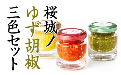 桜城ノゆず胡椒（3色セット）新鮮 柚子 手作り 新鮮 辛味 旨味 味くらべ 九州 うどん おでん お取り寄せ