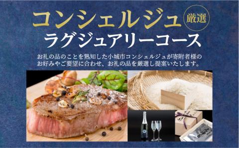 コンシェルジュプラン50（プレミアム 高額 相談）