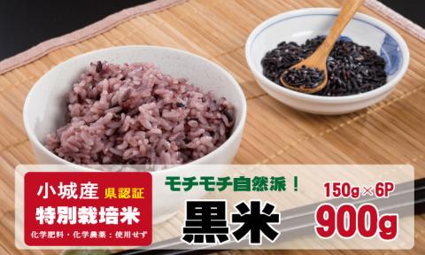 モチモチ自然派食・特別栽培認定「黒米」150g×6個  古代玄米  ビタミン  ミネラル  安心