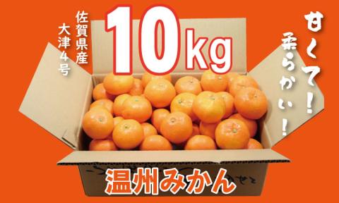 【先行予約】大好評！ご家庭用 大津みかん（10kg）コタツで甘いみかん！柑橘 温州　蜜柑 みかん ミカン　送料無料