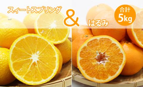【先行予約】ご家庭用スイートスプリングとはるみセット（５kg）柑橘詰め合わせ フルーツ セット  送料無料 季節の 柑橘 みかん 甘い 人気 ランキング 高評価 ほたるの郷
