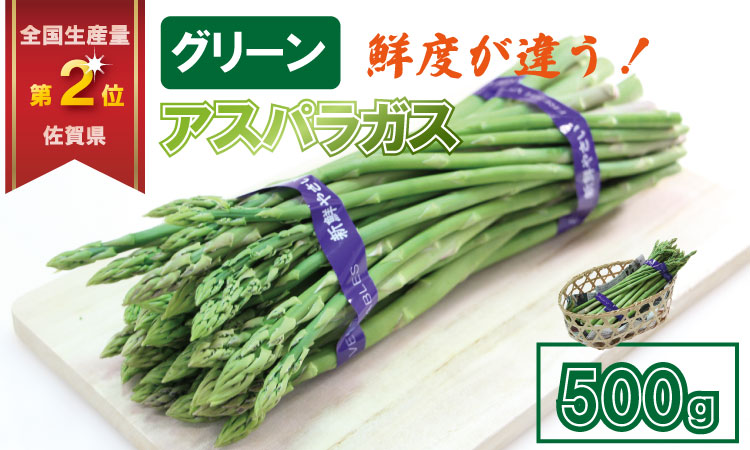 採れたて新鮮！アスパラガス（500g）百島農園 生産者直送 野菜 人気 ランキング 高評価