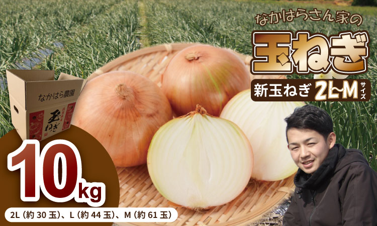 【先行予約】タマネギ（新玉ねぎ）なかはら農園 （10kg）サイズ2L～Mサイズ （たまねぎ、玉葱）　野菜 根菜 オニオン 九州 佐賀 サラダ マリネ 人気 ランキング 送料無料