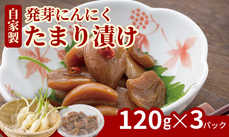 発芽ニンニクのたまり漬け（3パック） 健康志向 無臭  にんにく 社会福祉 臭いが少ない ニンニク