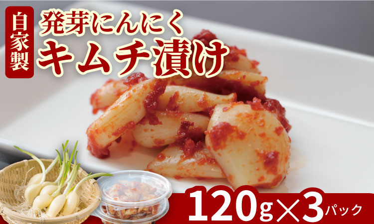発芽ニンニクのピり辛キムチ漬け（3パック）健康志向 無臭  にんにく 社会福祉 臭いが少ない ニンニク