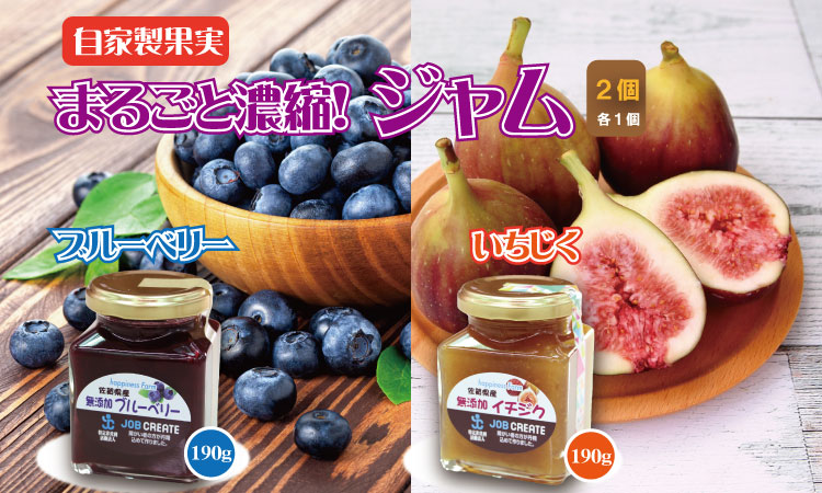 まるごと濃縮！いちじく ＆ ブルーベリー ジャム セット （190g×各１個） ジョブクリエイト フルーツ 果実 自家製 天然素材 健康