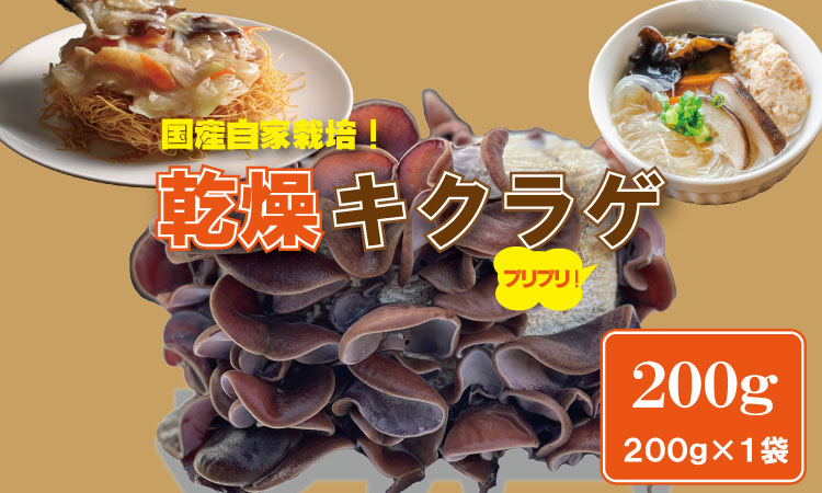 国産 自家製 乾燥 きくらげ （200g）ジョブクリエイト 肉厚 プリプリ キクラゲ 中華料理 ラーメン スープ アクセントに！