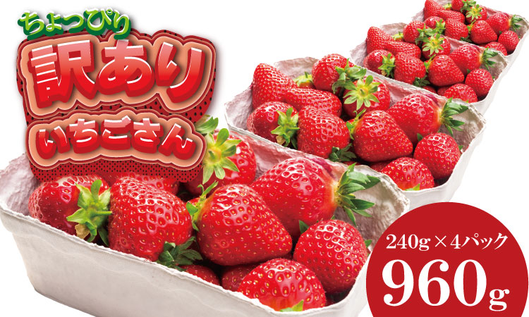 訳あり 不揃い粒の いちごさん 通常サイズ （ 240ｇ×４Ｐ ）960g 江島農園 農家 直送品 果物 くだもの フルーツ