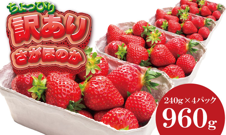 【先行予約（１月から順次出荷】 訳あり 不揃い粒の さがほのか 通常サイズ （ 240ｇ×４Ｐ ）960g 江島農園 農家 直送品 果物 くだもの フルーツ 苺
