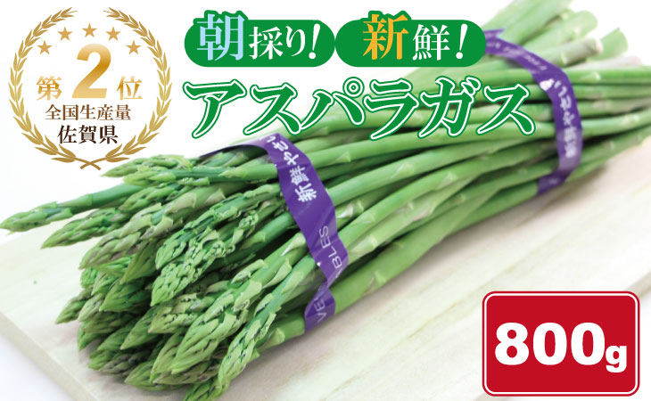 全国生産量 第2位！アスパラガス（800g）新鮮採れたて 農家直送 佐賀県産