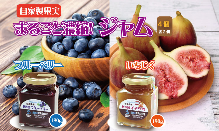 まるごと濃縮！いちじく ＆ ブルーベリー ジャム セット （190g×各2個） ジョブクリエイト フルーツ 果実 自家製 天然素材 健康