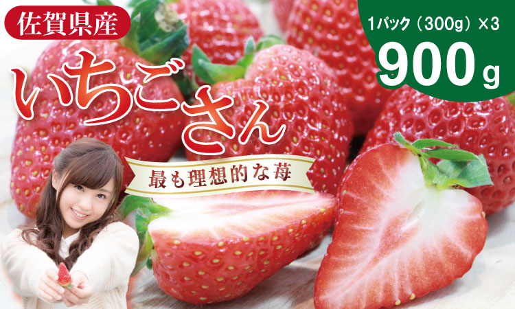【先行予約令和8年2月配送開始】いちごさん 3箱セット（合計 900g） ふるかわ農園 苺 甘い 酸っぱい いちご いちごさん イチゴ 2パック 苺 佐賀 佐賀県 小城市