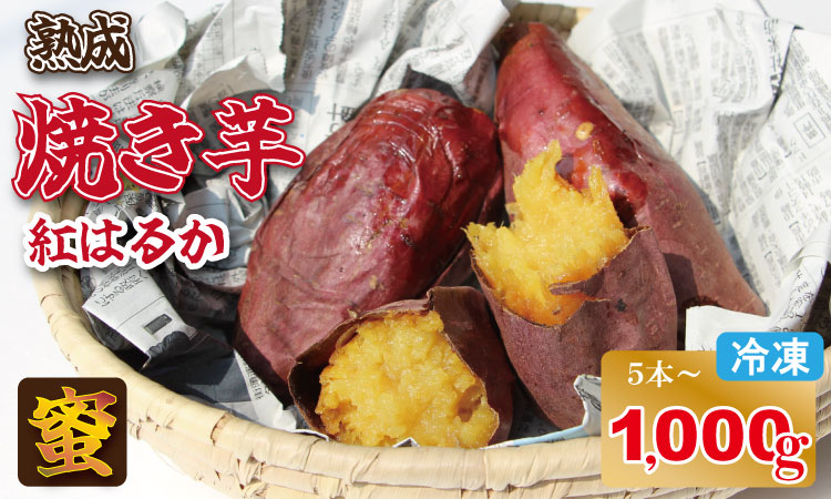 冷凍 焼き芋 紅はるか（1,100g）五時の芋 やきいも 甘い スイーツ ホクホク イモ 冷やしても美味しい 熟成