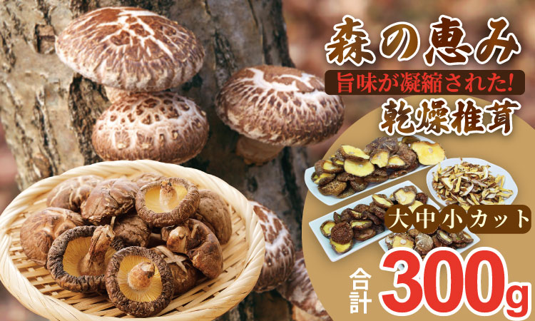 原木乾燥しいたけ（サイズ大・中・小・カット）300g  椎茸  乾燥椎茸 しいたけ  シイタケ