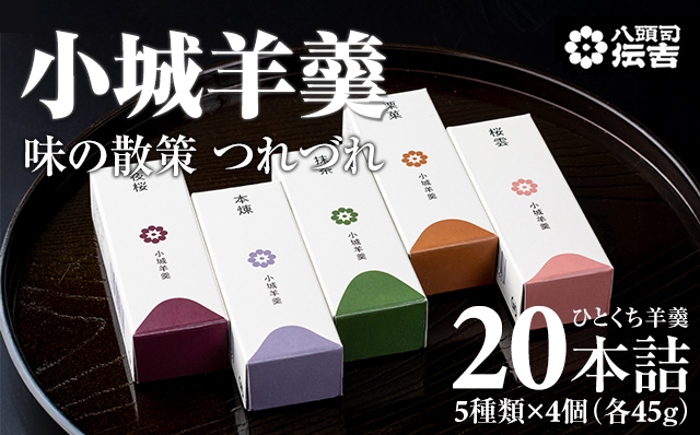 八頭司伝吉 味の散策 小城羊羹 つれづれ（贈答用 20本詰）ようかん 和菓子 贈り物