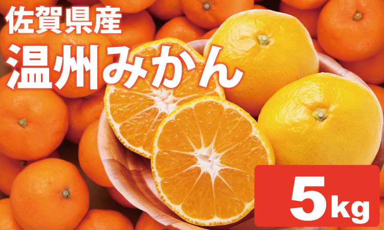 【先行予約】 佐賀県産 みかん（5kg）　潮風ファーム 大津 みかん 柑橘 温州みかん