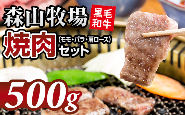 森山牧場 焼肉セット（500g） 佐賀和牛 牛肉 黒毛和牛 お肉 ジューシー 国産 九州産 霜降り 送料無料  ブランド牛 焼肉 人気 ランキング 高評価