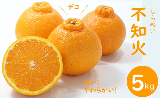 【先行予約】ご家庭用 不知火（しらぬい）５kg 頭のデコが ぽん とした サクサクの甘い食感 みかん　不知火　柑橘 みかん類 ほたるの郷
