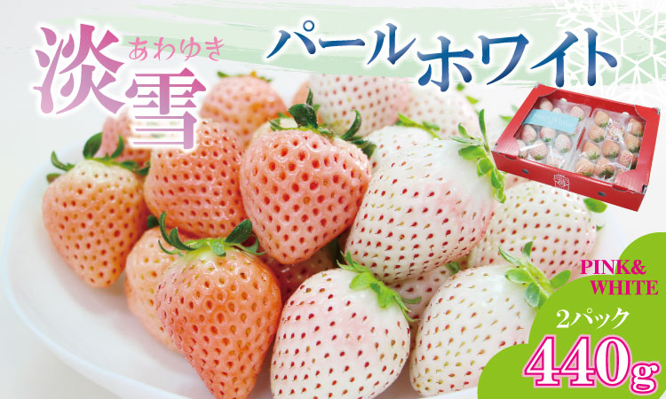 【先行予約令和8年1月配送開始】淡雪＆パールホワイト（各１パック）220g×2（合計440g）農家直送 水田苺園　農家 直送品 果物 くだもの フルーツ 人気 ランキング 高評価 苺 イチゴ