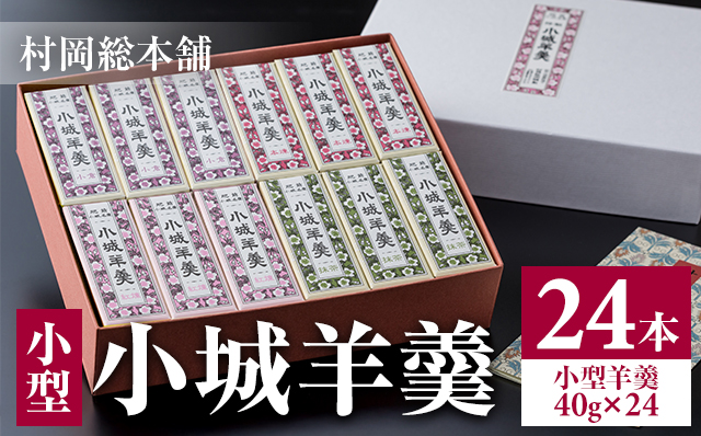 小型小城羊羹24本詰（村岡総本舗）詰め合わせ 父の日 母の日 敬老の日 お茶 スポーツ ようかん 一口サイズ ミニサイズ