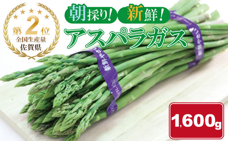 全国生産量 第2位！アスパラガス（1,600g）新鮮採れたて 農家直送 佐賀県産