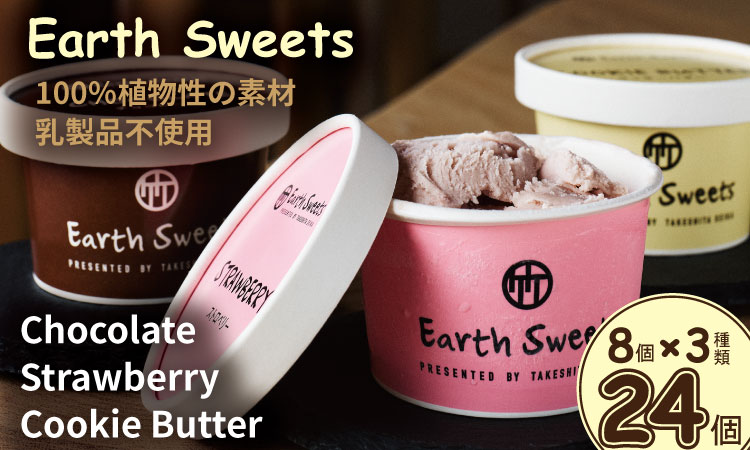 Earth Sweets カップアイス 3種24個セット 【竹下製菓 】 アイス クリーム スィーツ チョコレートアイスクリーム
