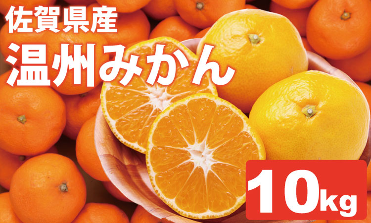【先行予約】 佐賀県産 みかん（10kg）　潮風ファーム 大津 みかん 柑橘 温州みかん
