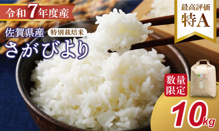 【新米】R７年度産（令和７年）特別栽培米 佐賀ブランド 米「 さがびより 」10kg（5kg×2袋）田中農場 精米 白米 10キロ 単位 もちもち 食感 冷めても 美味しい お一人様 ご家族用 ランキング 特A 評価