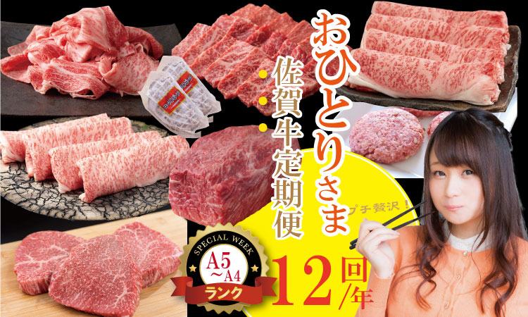 【定期便】 (連続12回) 佐賀牛 やまとフーズ 単身・おひとり様用