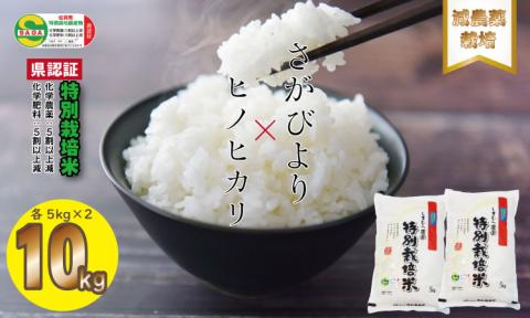 [先行予約]R6年度産新米 食べ比べ「減農薬米」さがびより・ひのひかり(5kg×各1袋)しもむら農園 送料無料 合計10キロ 農薬半分以下 一等米 精米 白米 ブランド米 お米 白飯 人気 ランキング 高評価