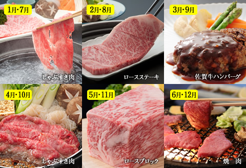 [定期便] (12ヶ月連続お届け) 佐賀牛(毎月)12回お肉の定期便