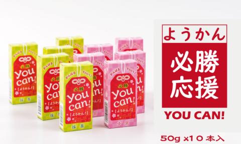 you can! ようかん10本入 羊羹 和菓子 伝統 小城羊羹 受験応援 試合応援 贈答 ギフト 送料無料