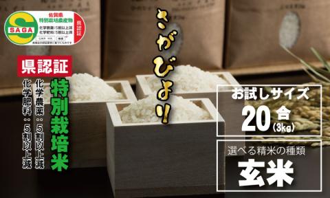 [先行予約]味試し!さがびより20合(3kg)田中農場 特別栽培米(玄米) 米 送料無料 一等米 精米 ブランド米 お米 人気 ランキング 高評価