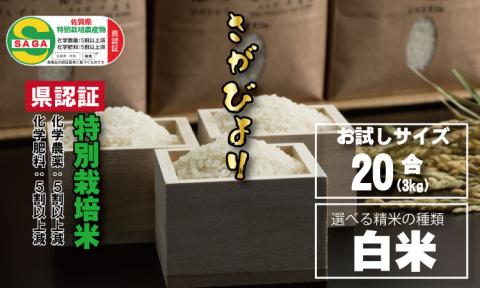 [先行予約]味試し!さがびより20合(3kg)田中農場 特別栽培米(白米) 米 送料無料 一等米 精米 ブランド米 お米 人気 ランキング 高評価