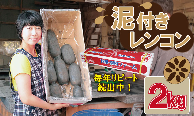 大人気!佐賀県産泥付きレンコン(2kg) 有明・潮風ファーム 送料無料 農家直送 九州 佐賀 続々高評価 蓮根 野菜 根菜 サラダ マリネ