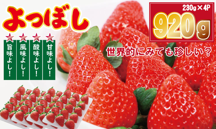 [先行予約(1月から順次出荷] 佐賀県産いちご「よつぼし」(230g×4パック) しもむら農園 イチゴ 苺 果物 くだもの フルーツ 人気 ランキング 高評価 送料無料