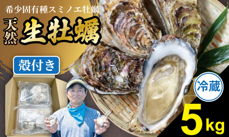 [先行予約][2月配送]※指定日必須※ 天然 有明海産 冷蔵スミノエ牡蠣 殻付き スミ☆スター5キロ ハクエイ水産