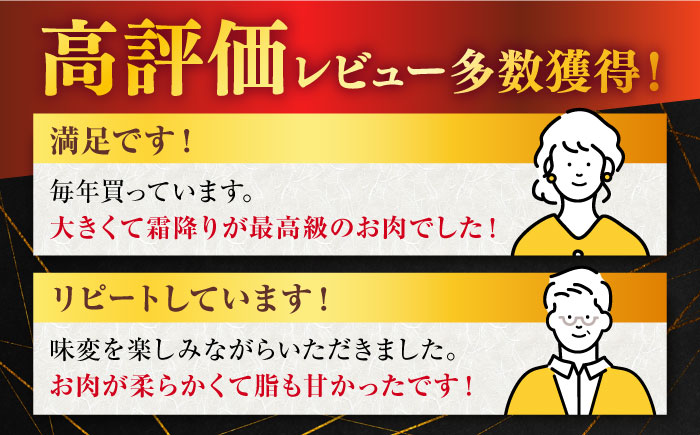 【3回定期便】 佐賀牛 ロース ステーキ用 500g (2枚入りセット)【桑原畜産】 [NAB062] 佐賀牛 牛肉 ロース ステーキ 佐賀牛 牛肉 ロース ステーキ